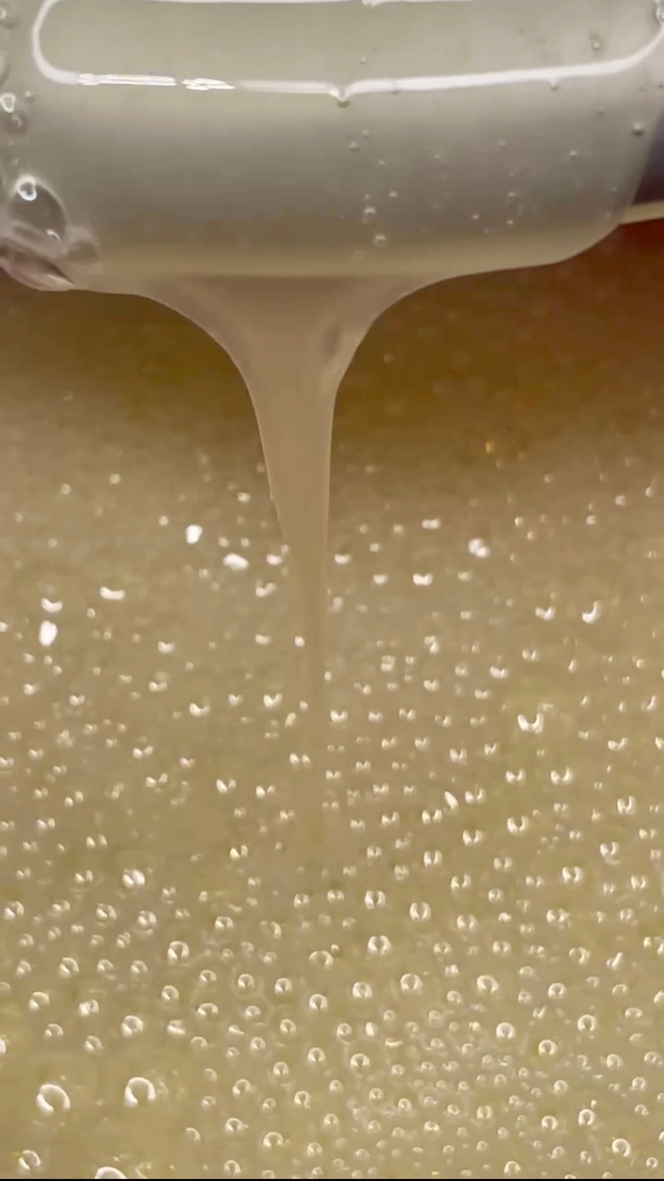 Pluperfect Shampoo and Conditioner Combo